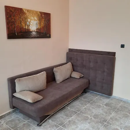 Boul Rosu Residence Arad Cameră foto