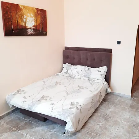 Boul Rosu Residence Arad Cameră foto